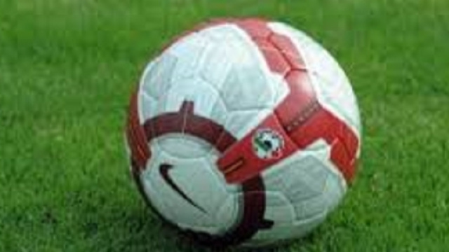 Pronostici del 19/1: Serie B e Coppa di Francia