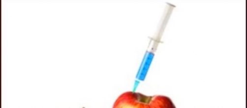 Alimentos modificados gen&eacute;ticamente