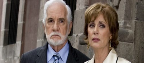 Cec&iacute;lia expulsar&aacute; Estef&acirc;nia e Isabela de casa