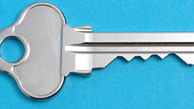 Esperti al computer imprudenti con le password