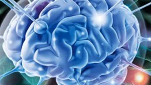 La cocaina distrugge i neuroni del cervello