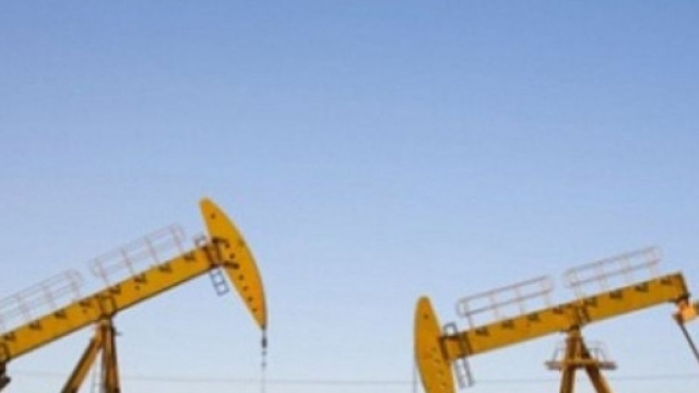 La Corte Costituzionale dice si al referendum