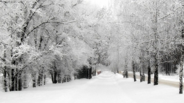 Neve in Italia, foto di meteolive