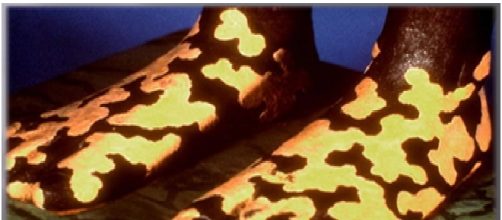 Significa: De diez naciones solo gobernar&aacute;n 7