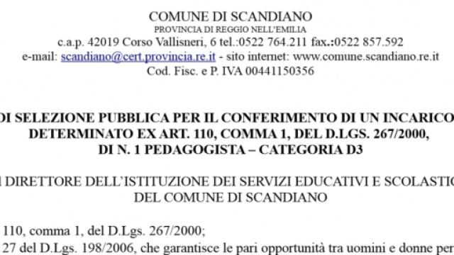 Assunzione di un pedagogista a TD
