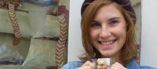 Did Amanda Knox get away with murder?