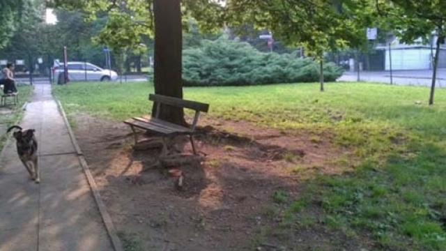 Monza, coppia fa sesso su panchina area cani