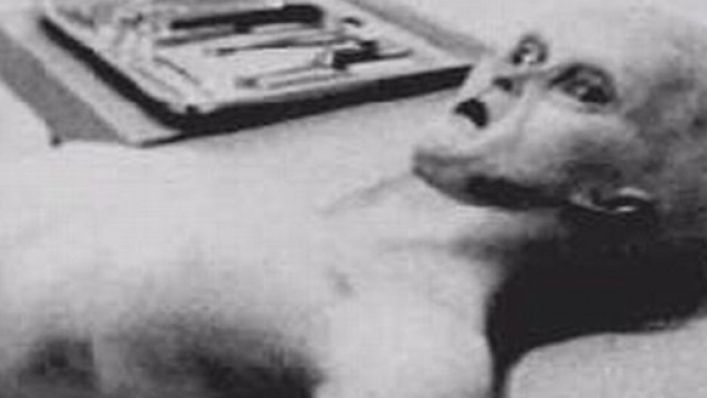 La presunta foto di un alieno morto