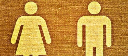 La educaci&oacute;n es la base de la igualdad de g&eacute;nero