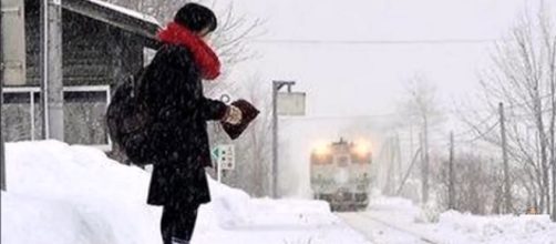 La chica japonesa del tren Inside