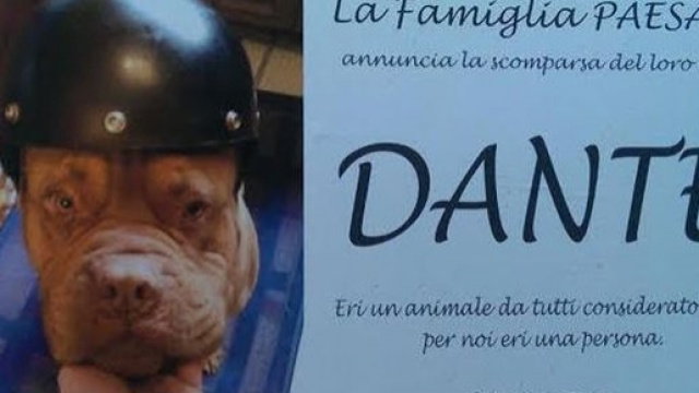 Dante viene salutato dai suoi umani