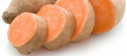 Adiós a las hormonas sintéticas: la naturaleza se abre paso en la ciencia