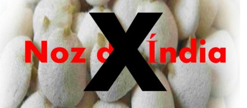 Noz da &Iacute;ndia pode ser prejudicial &aacute; sa&uacute;de