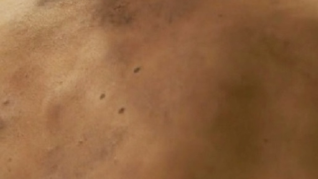 Il Segreto, anticipazioni trame 4 febbraio 2016