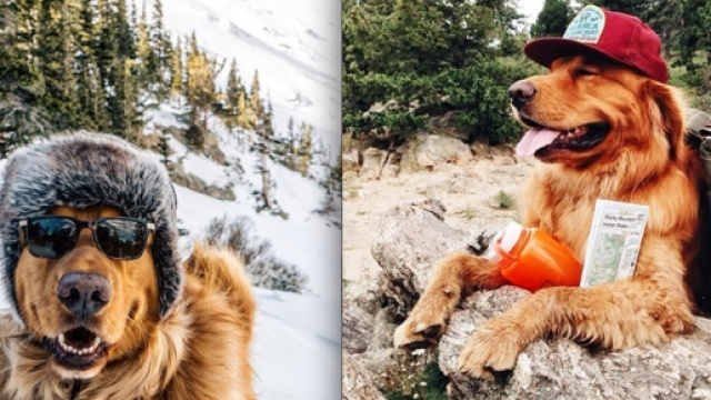 Le avventure di Aspen in montagna