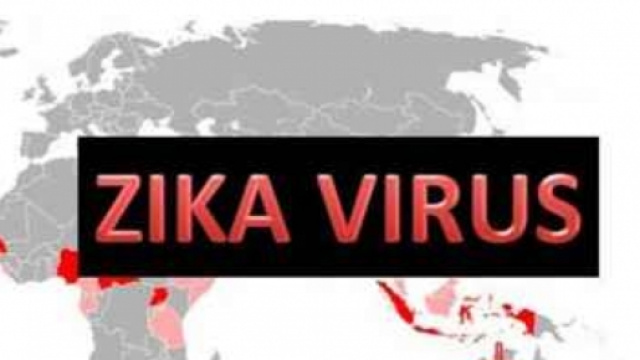 I sintomi del virus zika, pericolo in europa