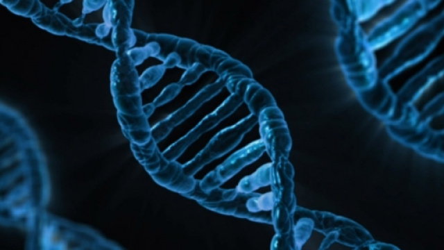 Il DNA "fotografato" da un microscopio