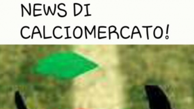 Tante idee di calciomercato in Lega Pro