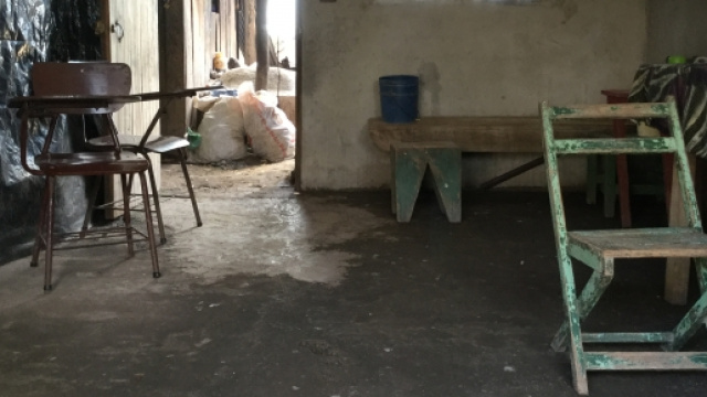 Virus Zika e proliferazione delle zanzare