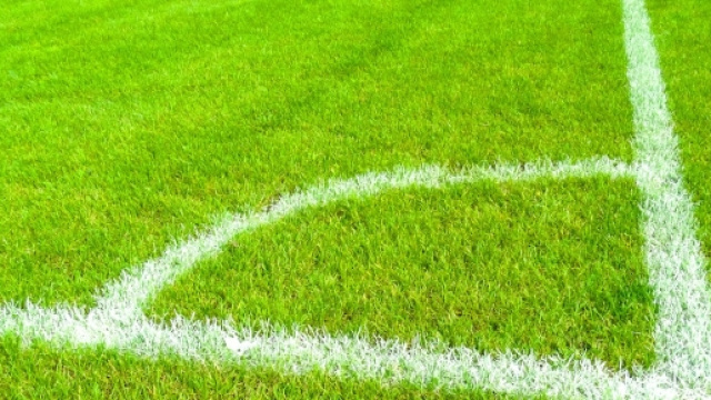 Pronostici Sampdoria-Torino e Verona-Atalanta