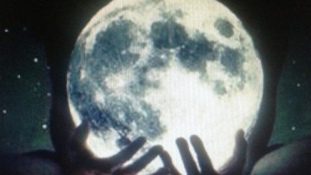 Il nostro destino nelle mani del mondo