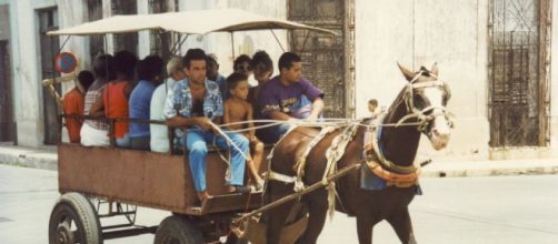Cuban transport. Nick originally posted to Flickr