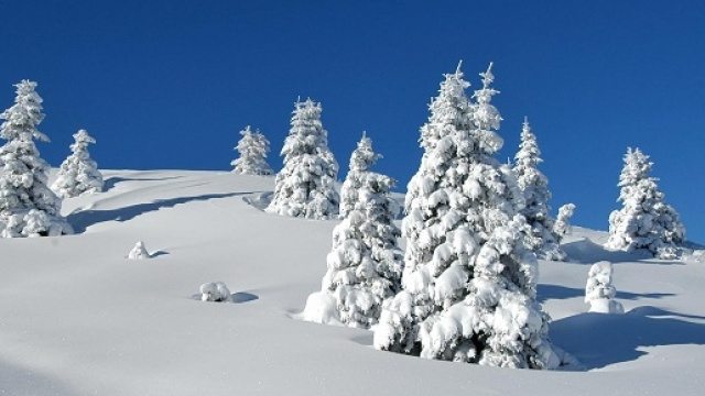 Aria gelida in arrivo in Italia. Possibile neve.
