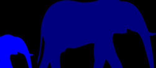 Elephants & Ivory. Courtesy of Pixabay commons