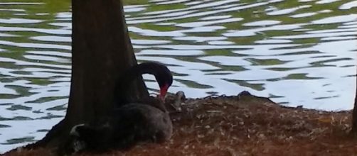 Picture taken by me with personal camera at park