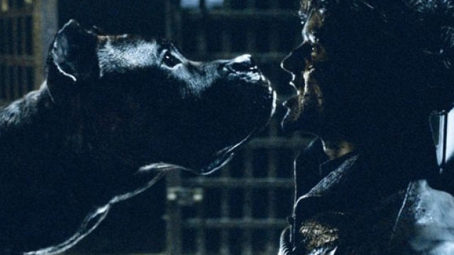 La fine di Ramsey Bolton ad opera dei suoi cani