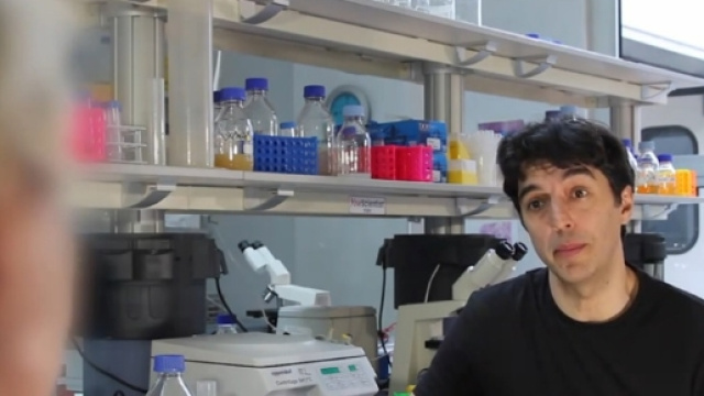 Il Dottor Valter Longo, scienziato della University of Southern California e dell'Istituto Firc di Oncologia Molecolare di Milano