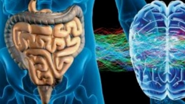 L'alimentazione influenza il microbiota intestinale ed il rischio del morbo di Alzheimer.
