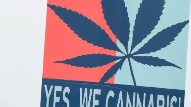 la marjuana &egrave; una sostanza sempre pi&ugrave; diffusa tra i ragazzi delle scuole berlinesi