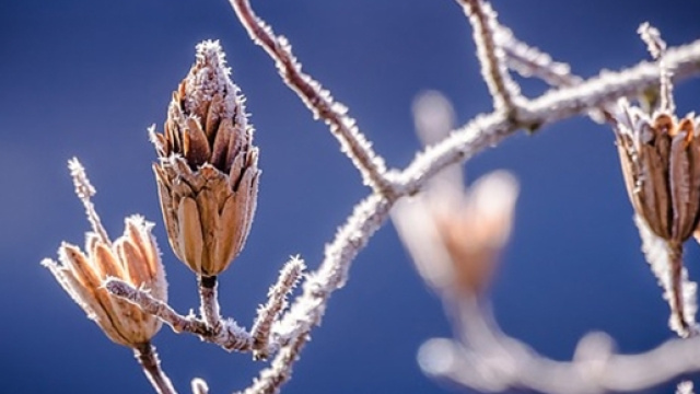 Previsioni del tempo per la stagione invernale 2016-2017