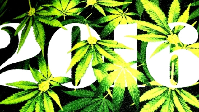 Da palermo il primo passo per la legalizzazione