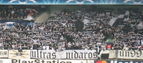 Fans del Rosenborg BK (Noruega)