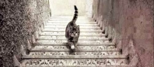 O mist&eacute;rio foi finalmente solucionado.