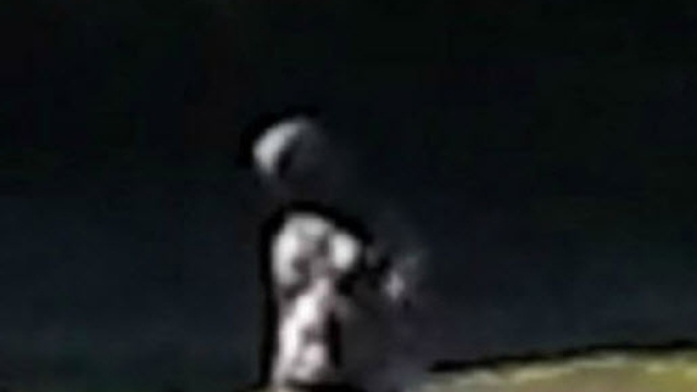 Il presunto alieno grigio fotografato da John Mooner