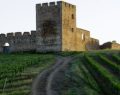 Alentejo: learn why you should head to Portugal's new enotourism jewel