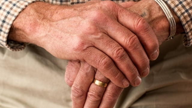 Legge di Stabilit&agrave; 2017: ecco Ape volontaria e social - synthesisweb.it