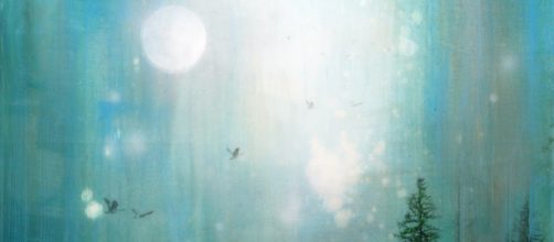 Steven Nederveen is inspired by nature and landscapes. / Photo via Steven Nederveen, used with permission.