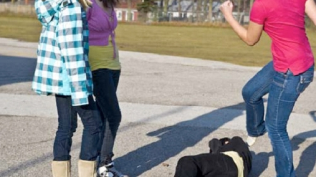 Il filmato &egrave; stato sequestrato dai Carabinieri.