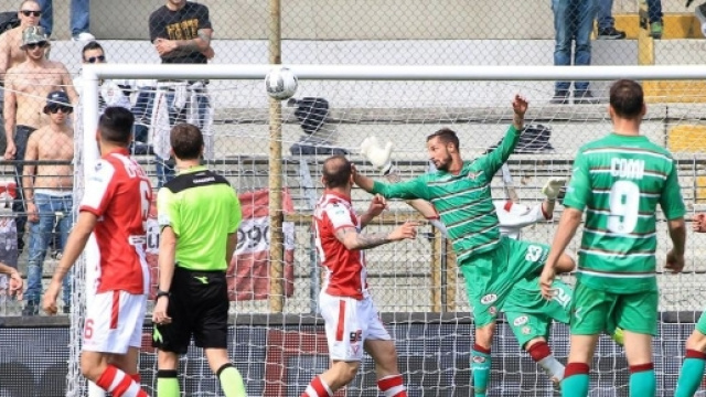 Cesena-Vicenza: probabili formazioni e ultime dai campi - vicenzatoday.it