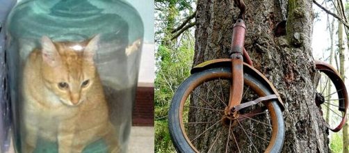 N&atilde;o me pergunte como foram parar a&iacute;