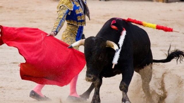 Spagna, Consulta annulla provvedimento catalano che vieta le corride