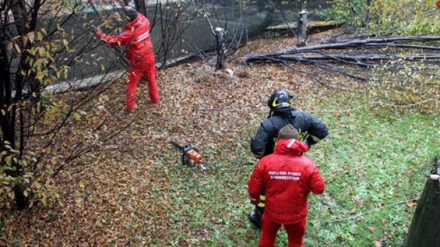 Bambino scomparso a Genova durante una gita.