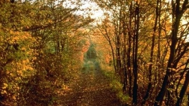 Parco dei Boschi di Carrega: Iniziative ed eventi: Cucina ... - parks.it