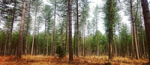 Photograph taken by Mehrnaz Karimi