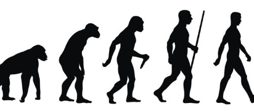 Esquema de la evoluci&oacute;n humana