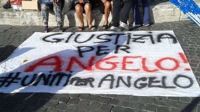 La storia di Angelo, il cane ucciso a Sangineto &ldquo;tanto per ridere&rdquo;